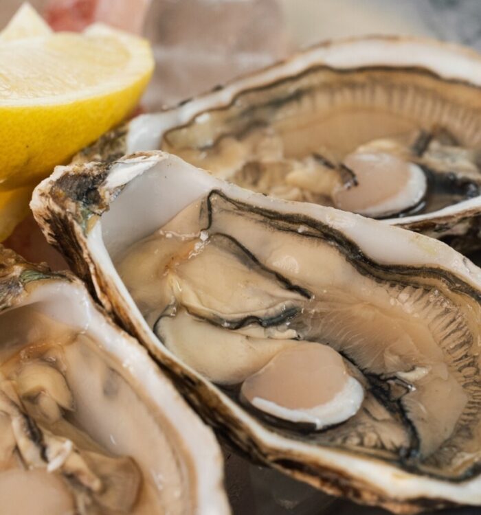 Bistrot Orestiadi Gibellina